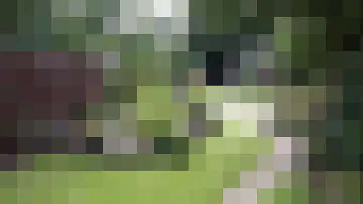 Gelderselaan 68 Nijmegen thumbnail 47