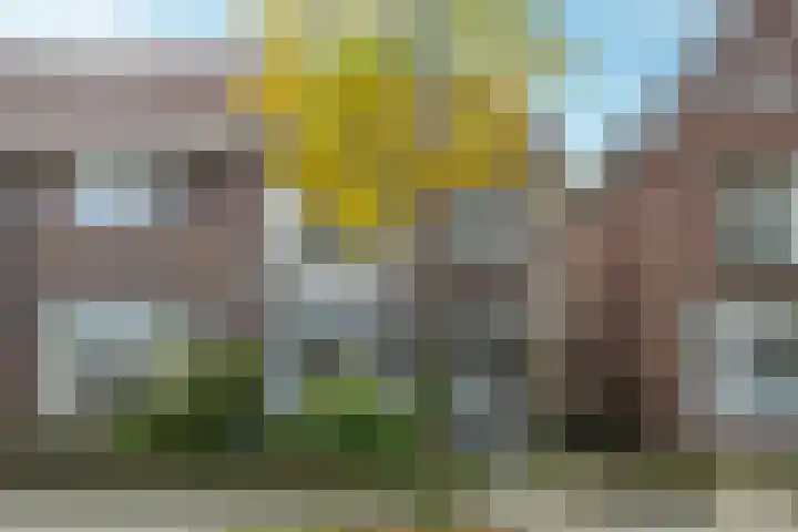 Gelderselaan 68 Nijmegen thumbnail 48