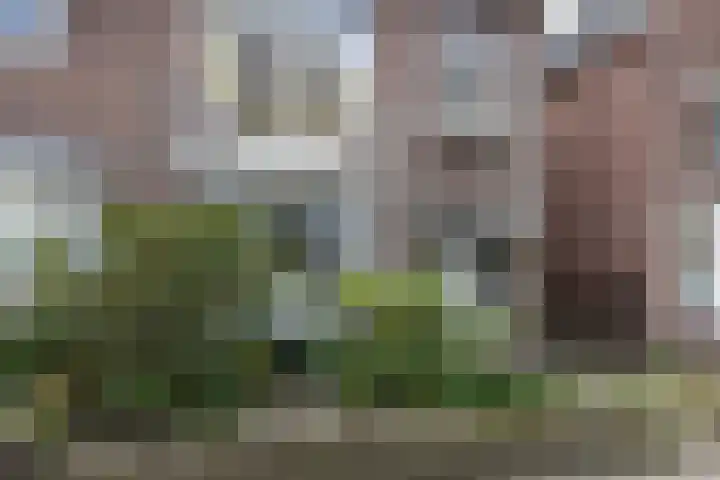 Gelderselaan 68 Nijmegen thumbnail 49