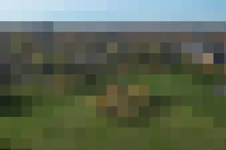 Gelderselaan 68 Nijmegen thumbnail 55