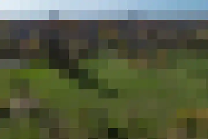 Gelderselaan 68 Nijmegen thumbnail 56