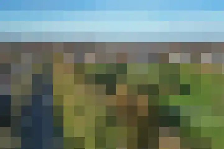 Gelderselaan 68 Nijmegen thumbnail 57