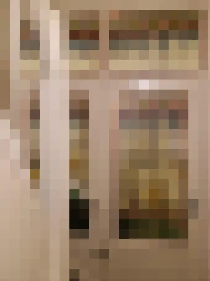 Gelderselaan 68 Nijmegen thumbnail 6