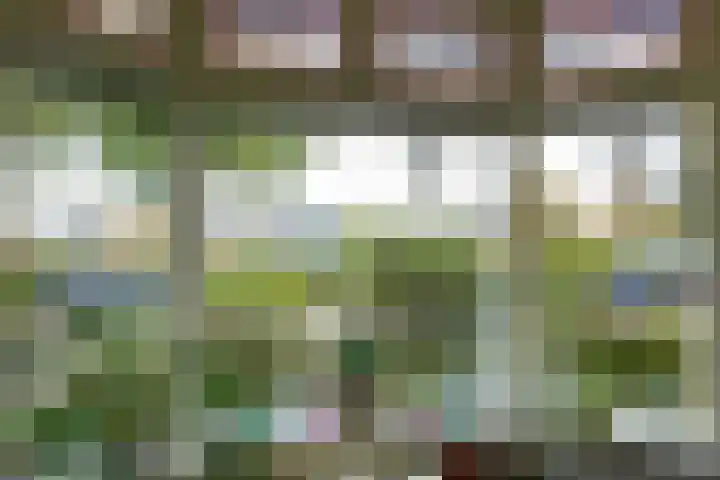 Gelderselaan 68 Nijmegen thumbnail 8