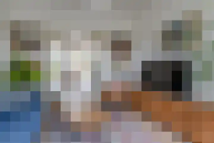Gelderselaan 68 Nijmegen thumbnail 9