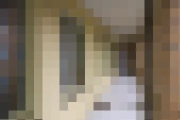 Gelderseplein 35 Rotterdam thumbnail 6