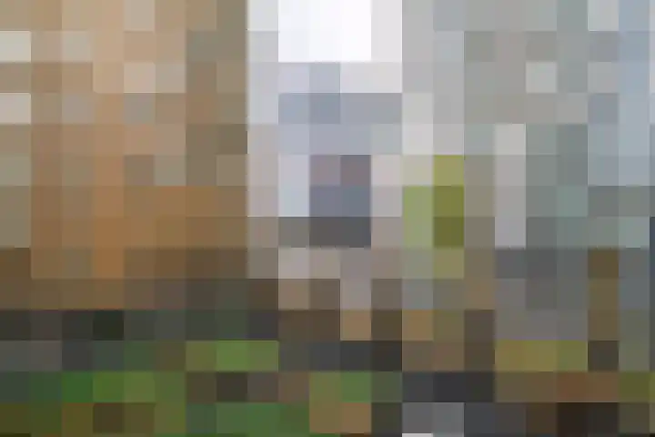 Gelderseplein 35 Rotterdam thumbnail 7