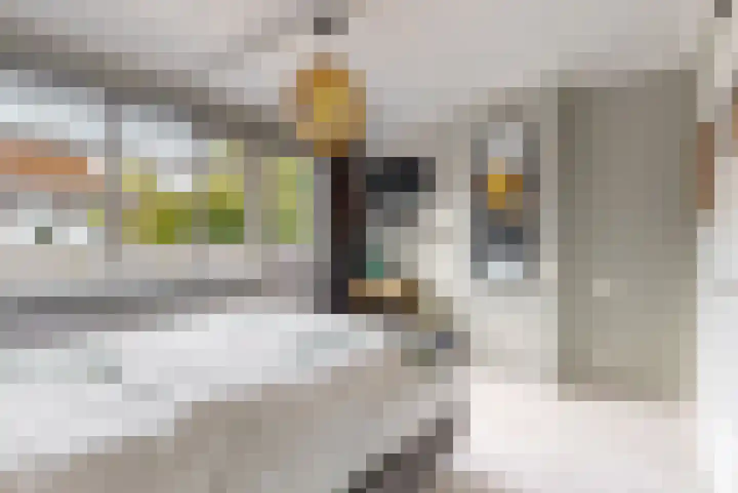 Geldersesteeg 24 Hoorn thumbnail 16