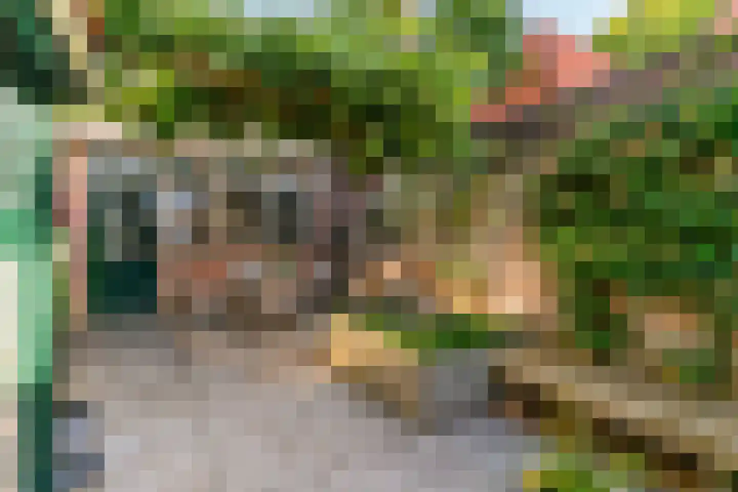 Geldersesteeg 24 Hoorn thumbnail 27