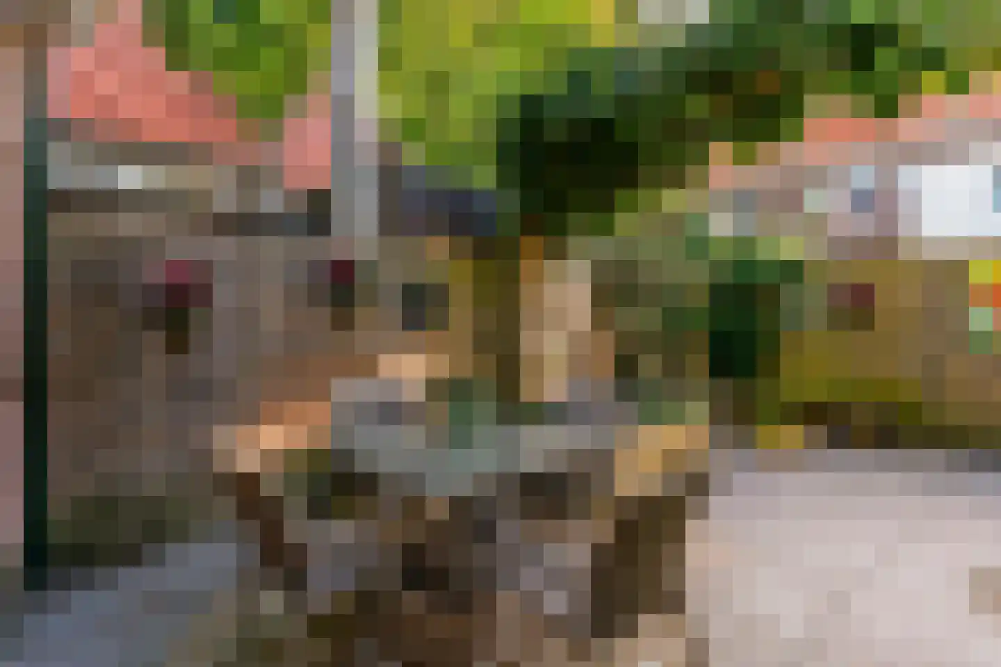 Geldersesteeg 24 Hoorn thumbnail 29