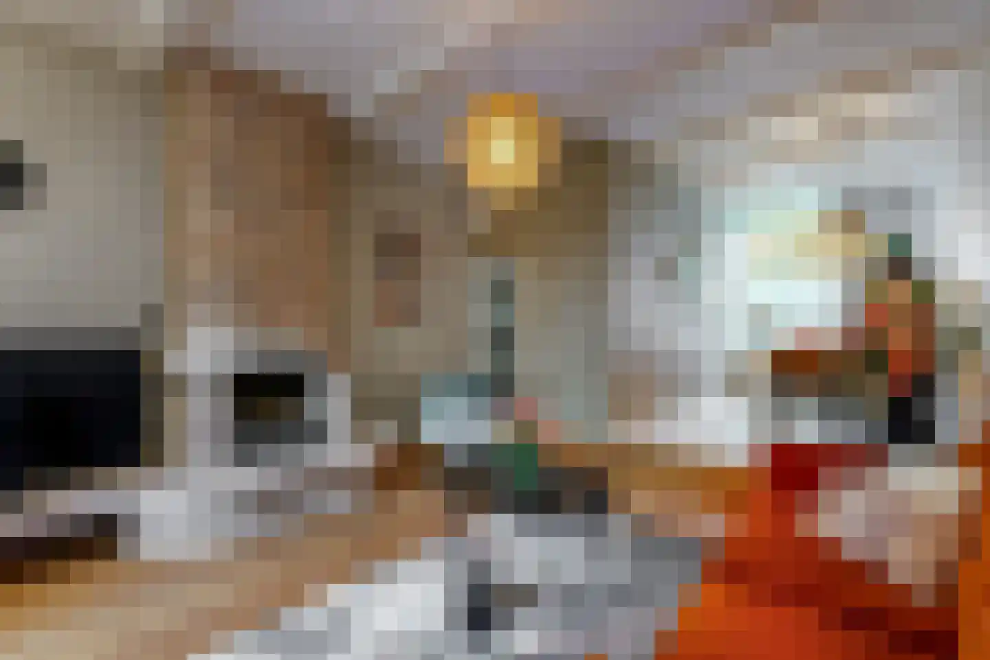 Geldersesteeg 24 Hoorn thumbnail 5