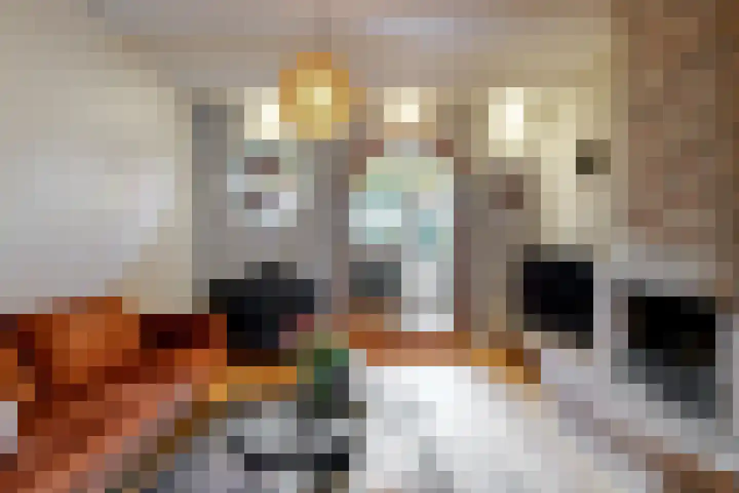 Geldersesteeg 24 Hoorn thumbnail 7