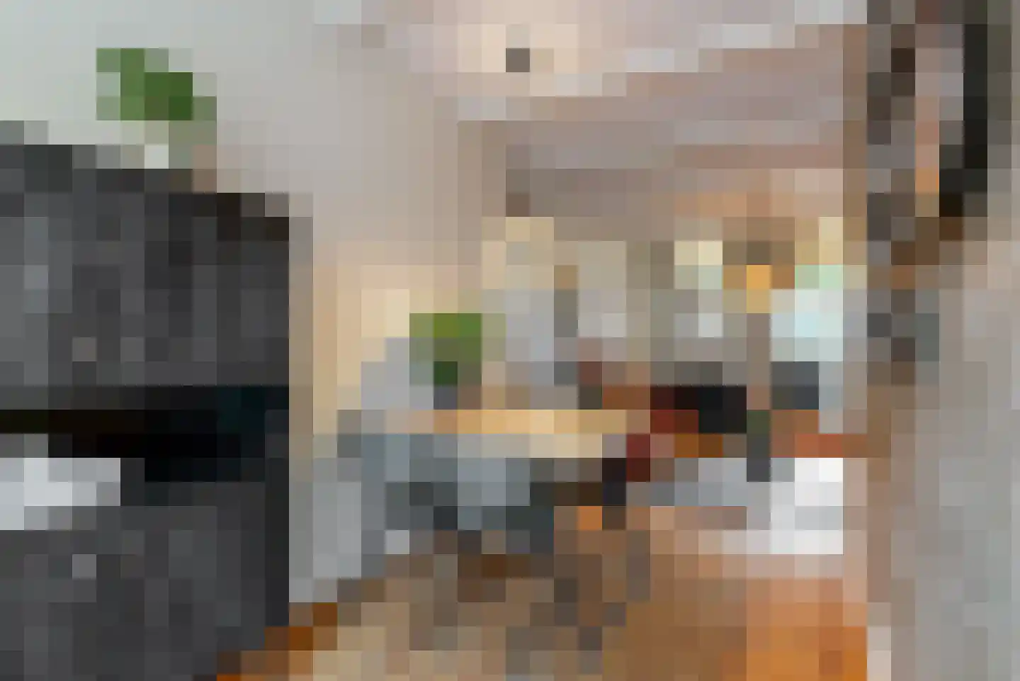 Geldersesteeg 24 Hoorn thumbnail 8