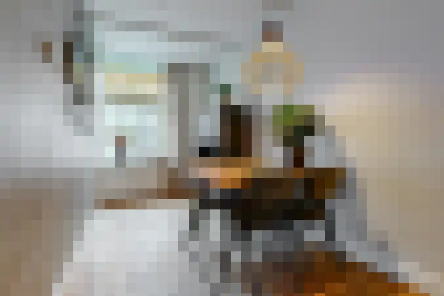 Geldersesteeg 24 Hoorn thumbnail 9