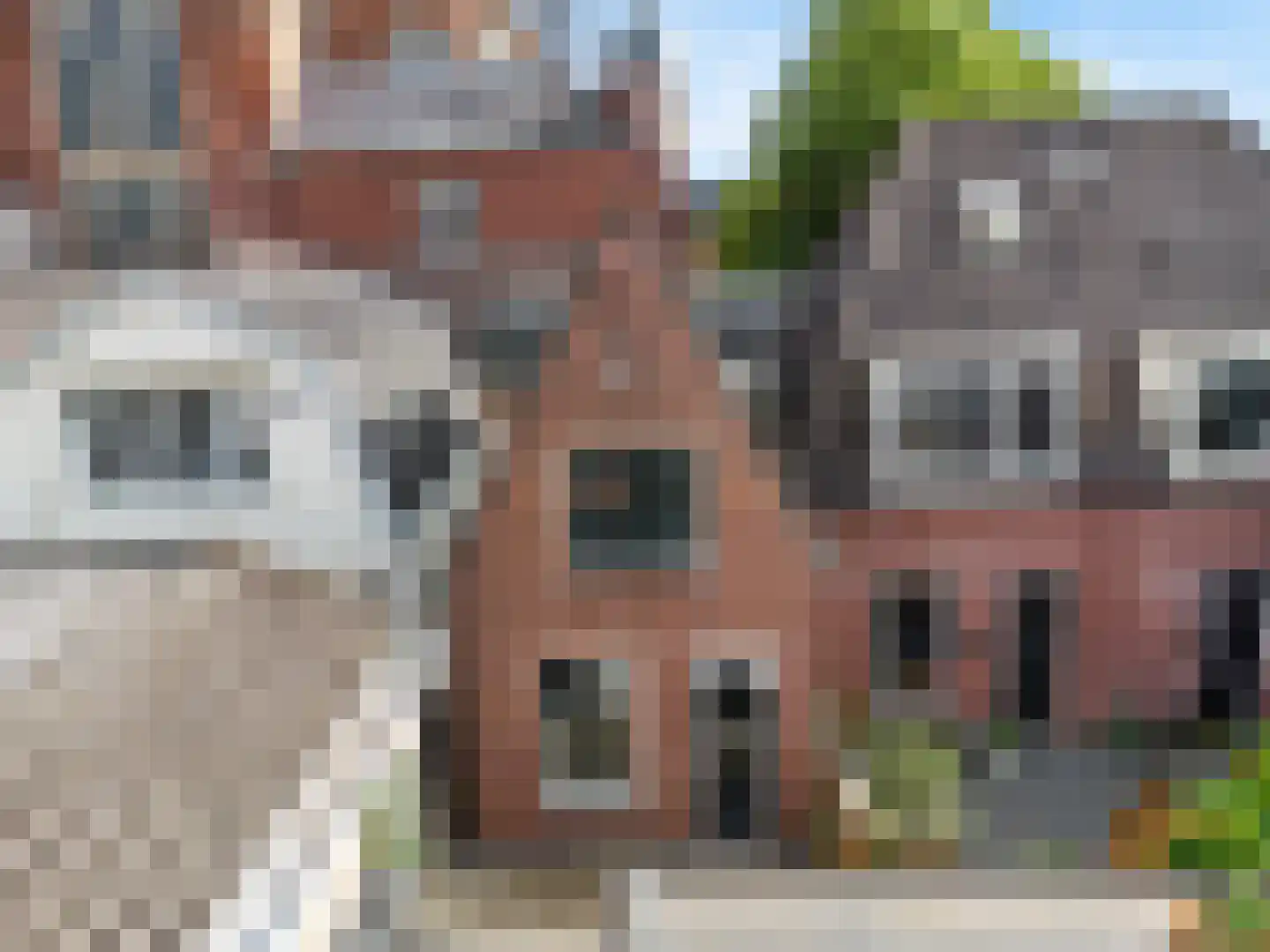 Geldersesteeg 31 Hoorn thumbnail 12