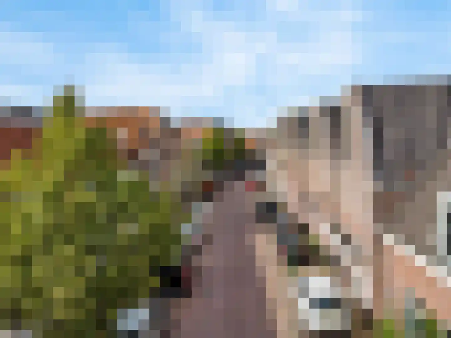 Geldersesteeg 31 Hoorn thumbnail 21