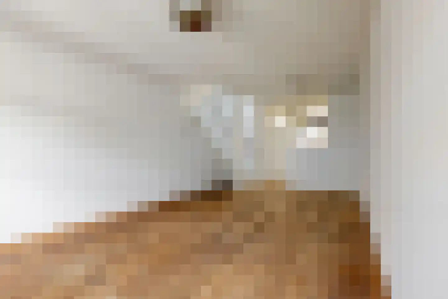 Geldersesteeg 31 Hoorn thumbnail 22