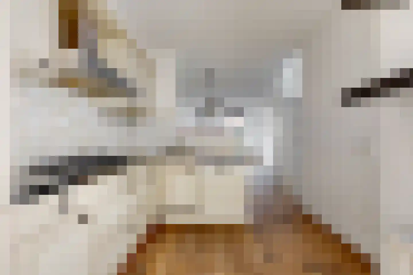 Geldersesteeg 31 Hoorn thumbnail 27