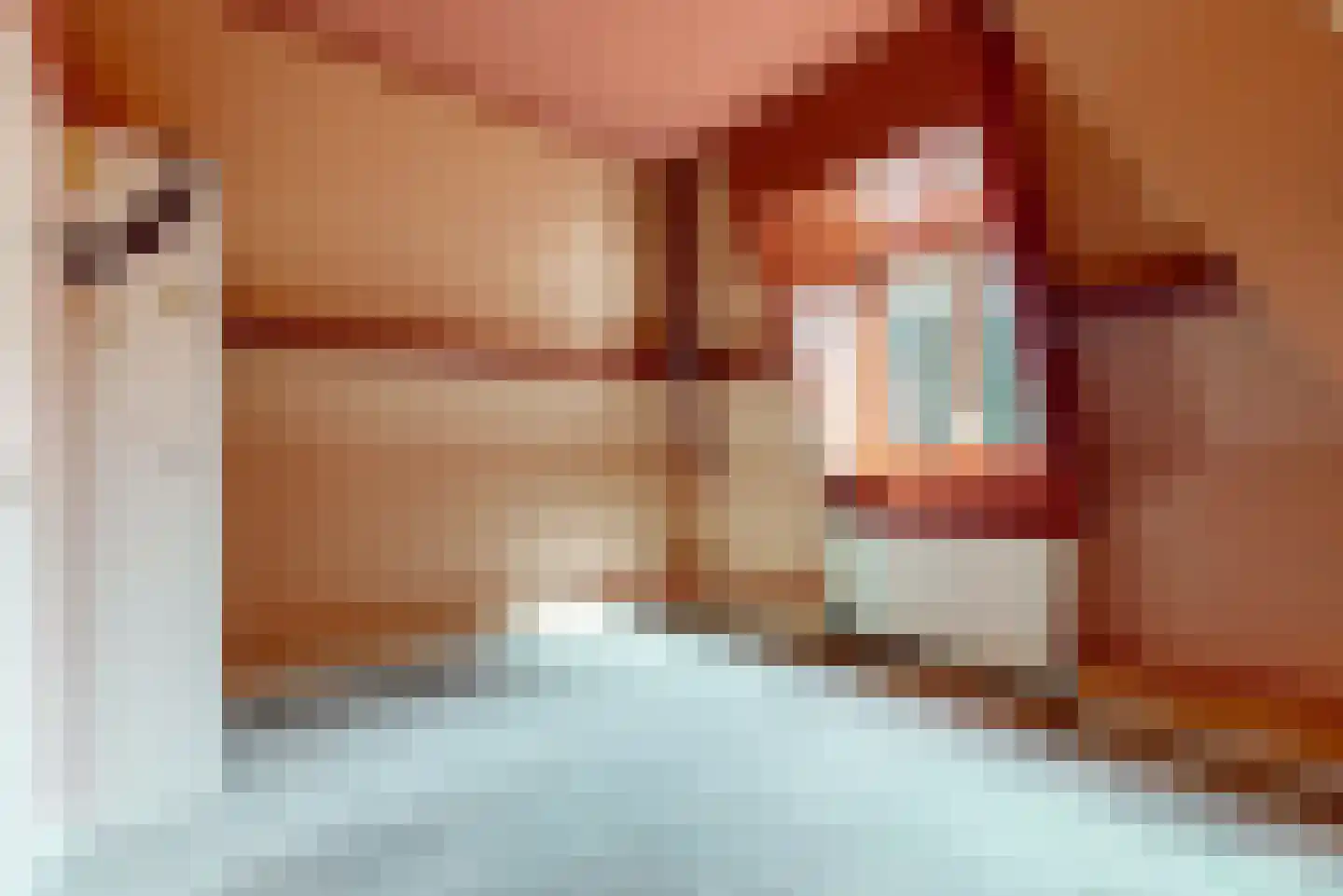 Geldersesteeg 31 Hoorn thumbnail 30