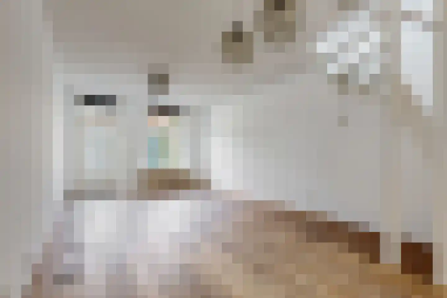 Geldersesteeg 31 Hoorn thumbnail 4