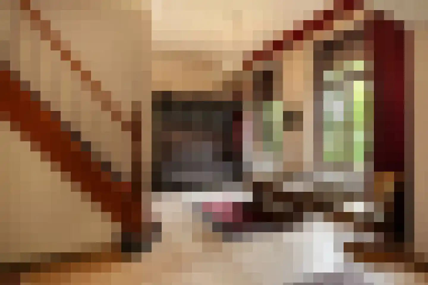 Geldersestraat 2 Helenaveen thumbnail 12