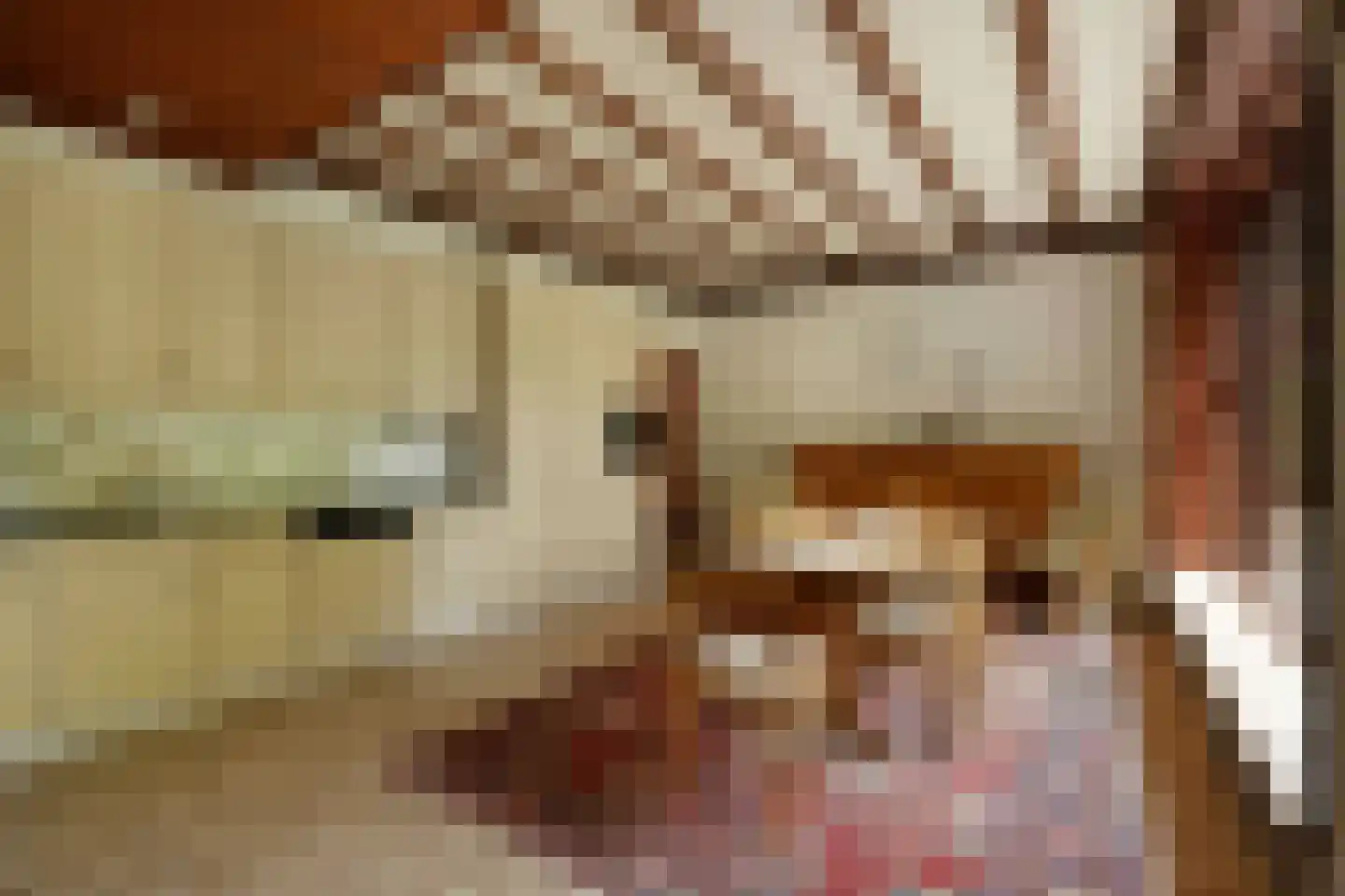 Geldersestraat 2 Helenaveen thumbnail 26