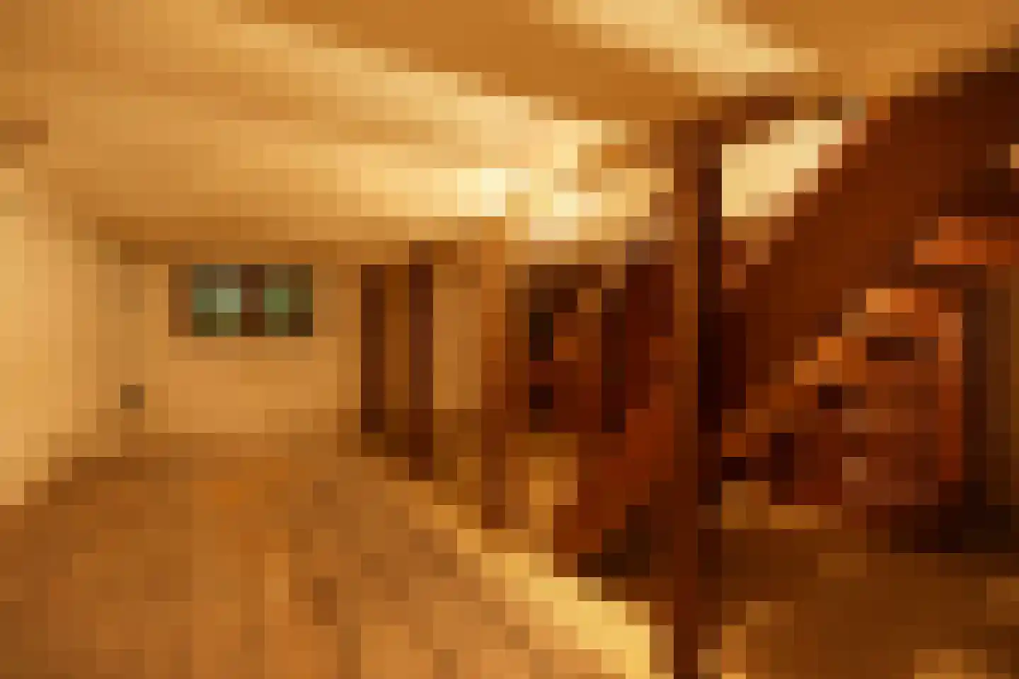 Geldersestraat 2 Helenaveen thumbnail 29