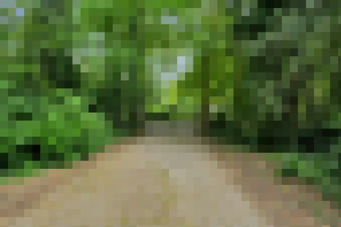 Geldersestraat 2 Helenaveen thumbnail 4