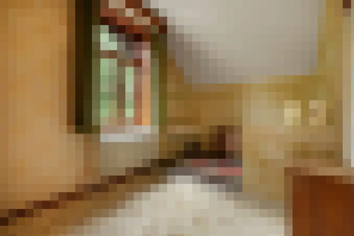 Geldersestraat 2 Helenaveen thumbnail 43
