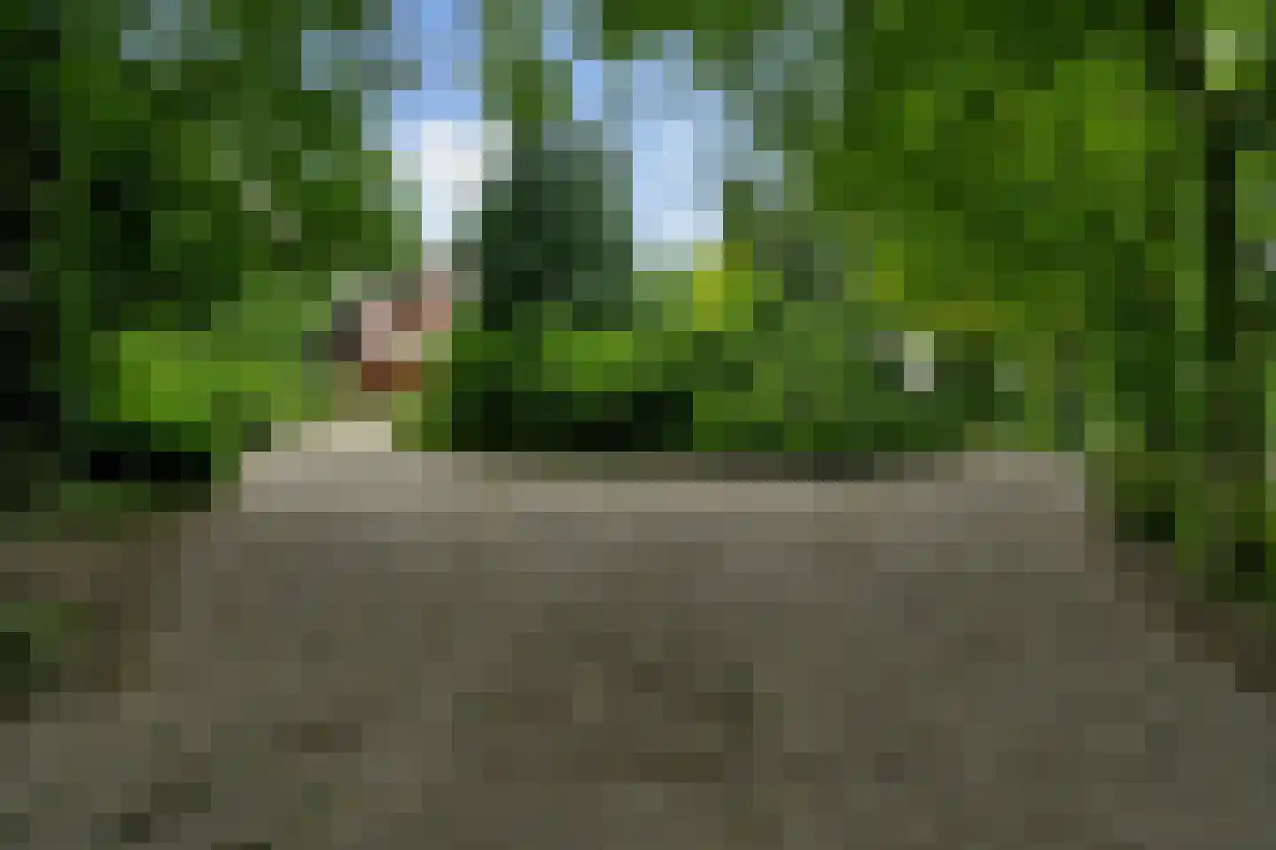 Geldersestraat 2 Helenaveen thumbnail 5