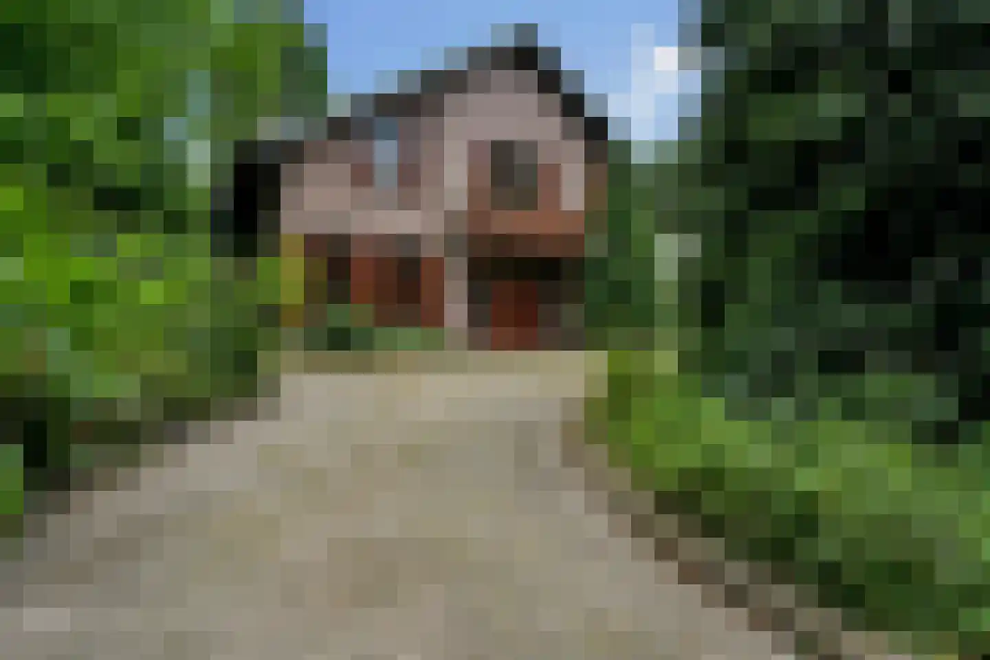 Geldersestraat 2 Helenaveen thumbnail 6