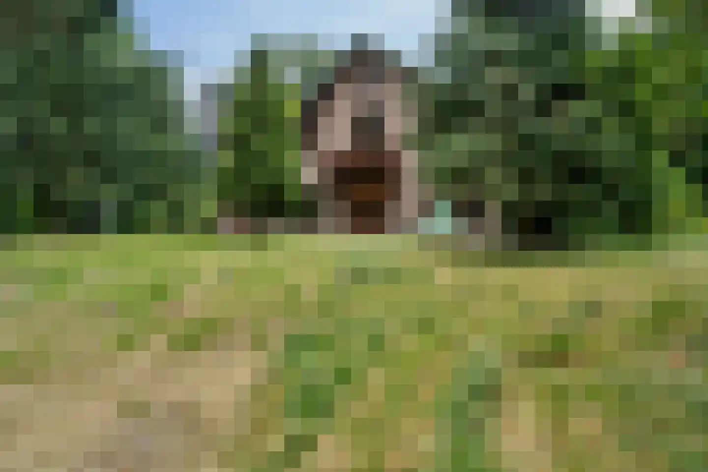 Geldersestraat 2 Helenaveen thumbnail 60