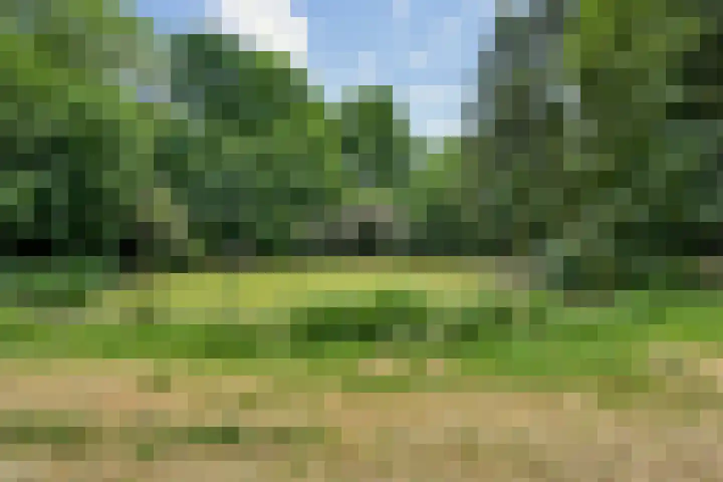 Geldersestraat 2 Helenaveen thumbnail 63