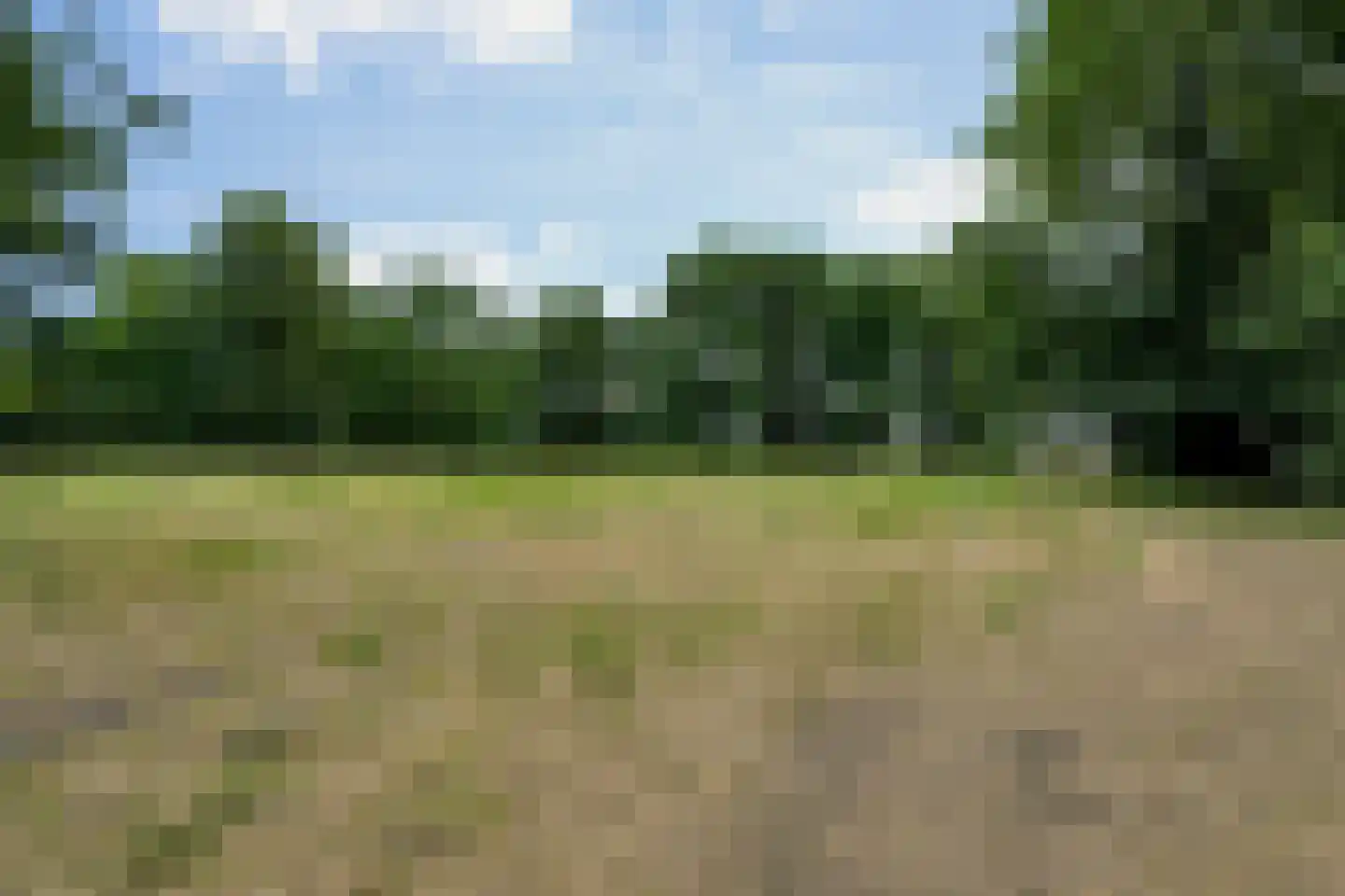 Geldersestraat 2 Helenaveen thumbnail 64