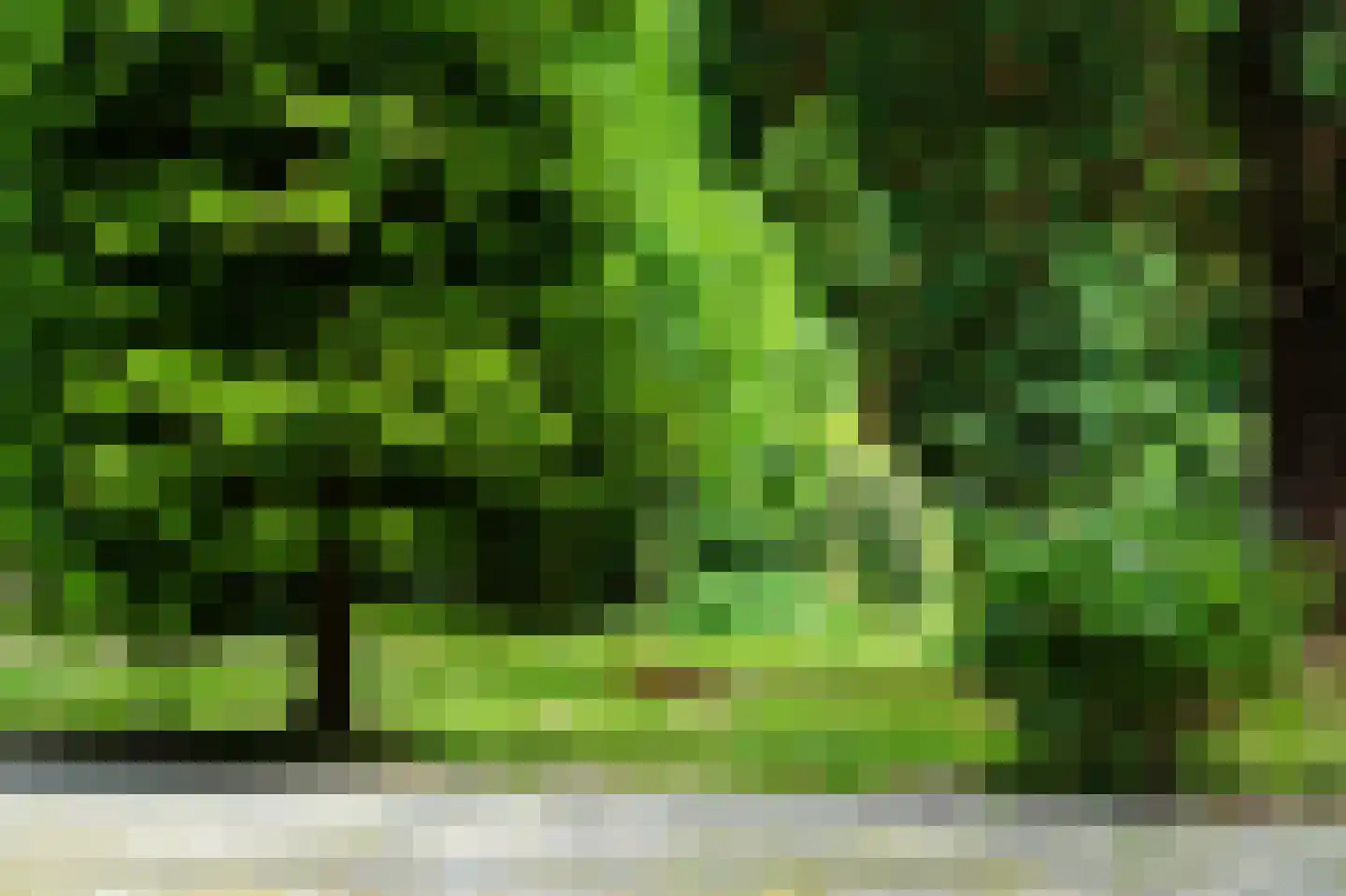 Geldersestraat 2 Helenaveen thumbnail 65