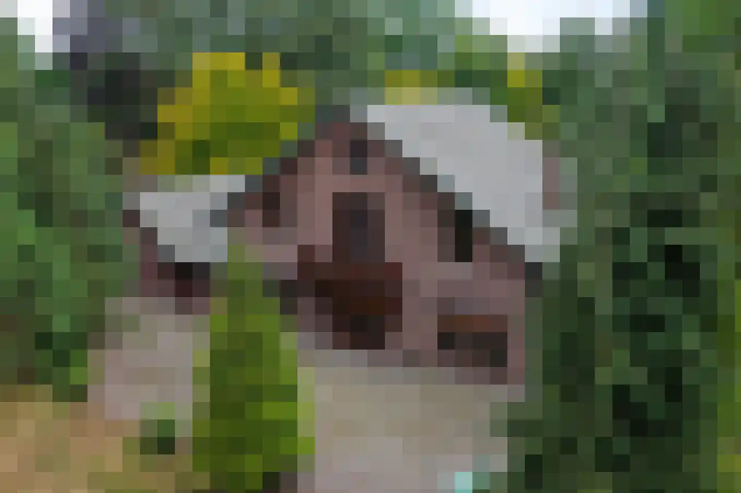 Geldersestraat 2 Helenaveen thumbnail 66