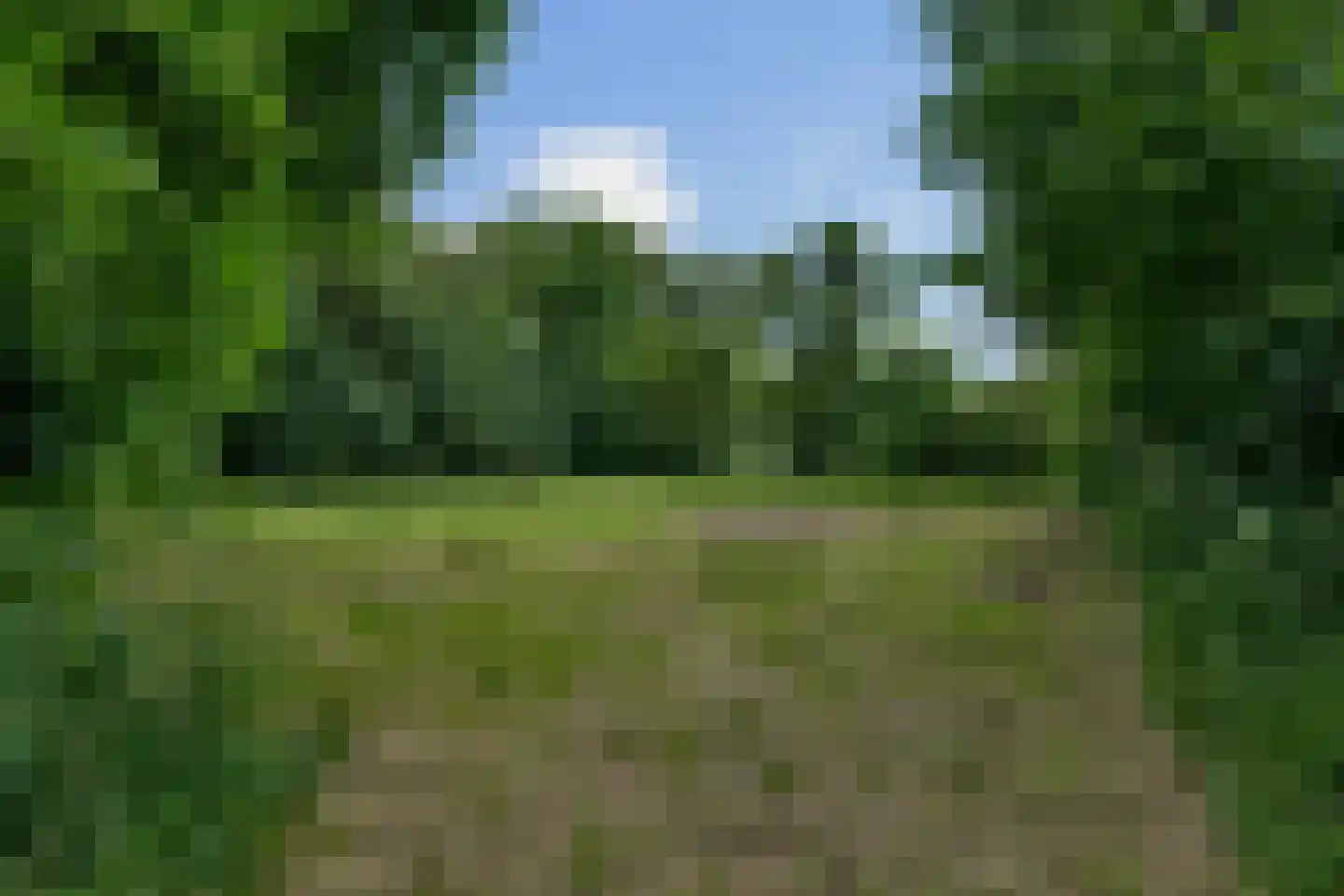 Geldersestraat 2 Helenaveen thumbnail 68
