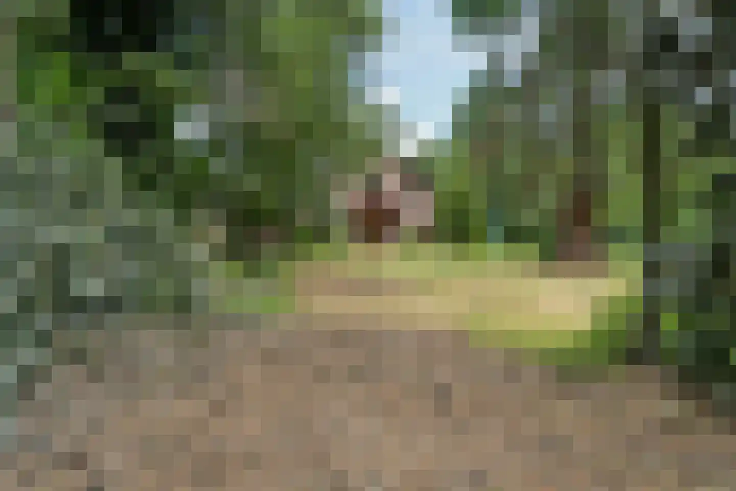 Geldersestraat 2 Helenaveen thumbnail 69