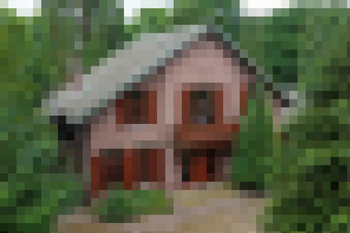 Geldersestraat 2 Helenaveen thumbnail 7
