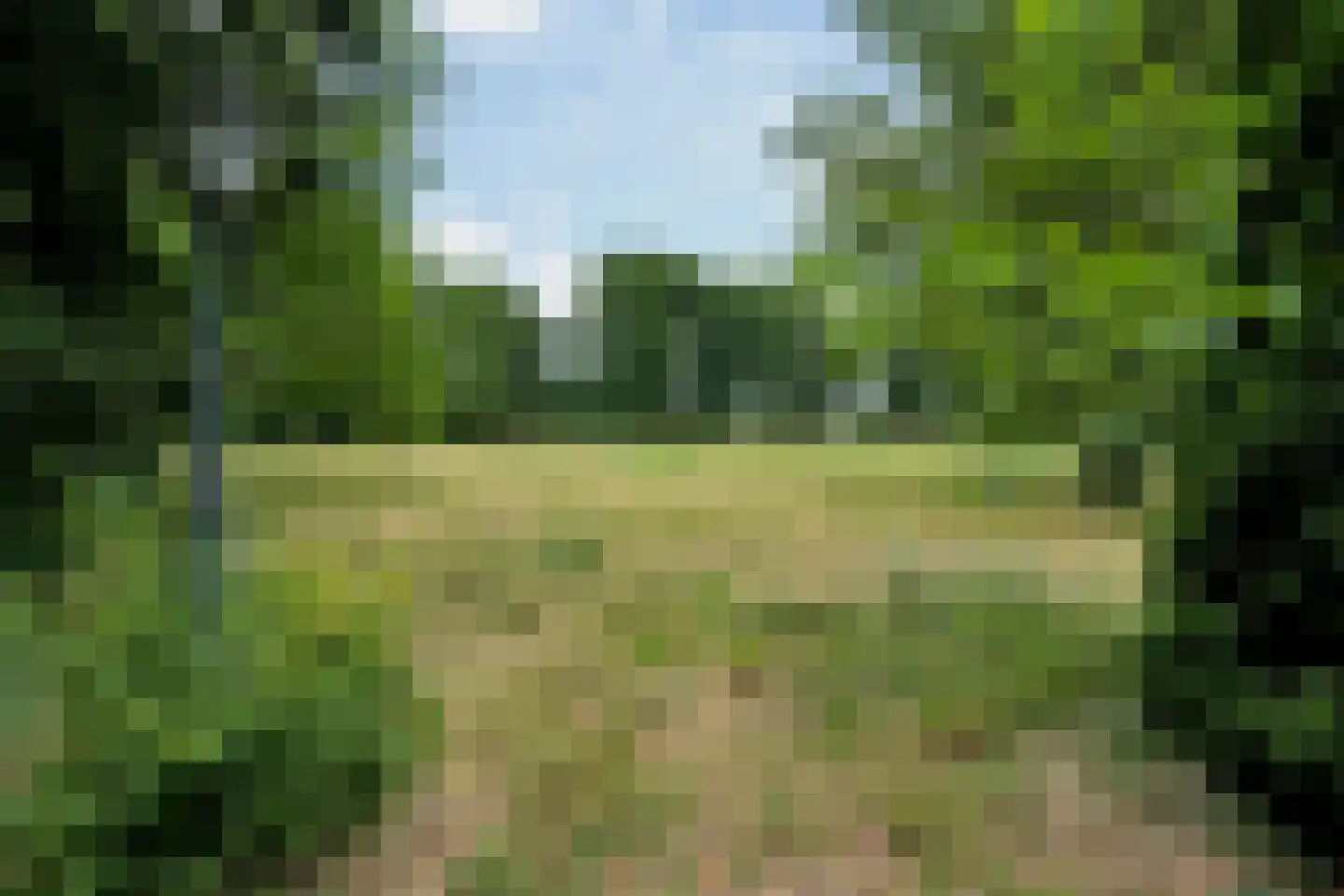 Geldersestraat 2 Helenaveen thumbnail 70