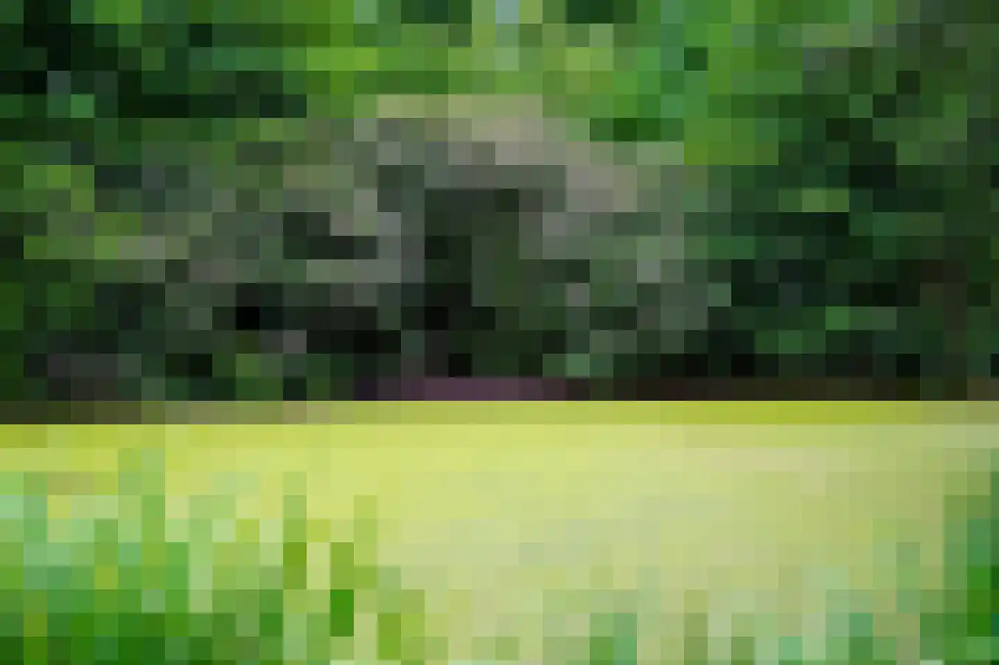 Geldersestraat 2 Helenaveen thumbnail 72