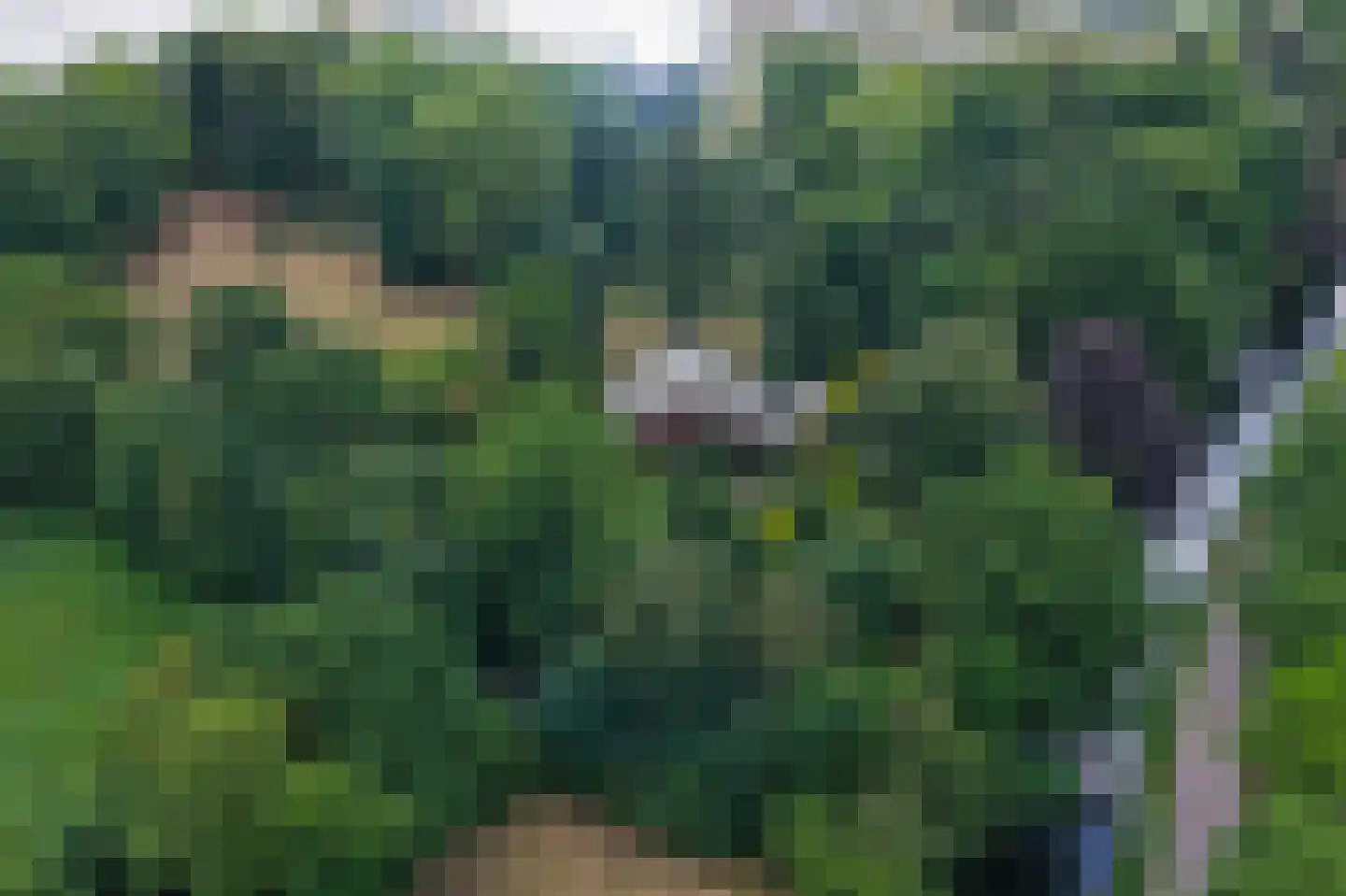 Geldersestraat 2 Helenaveen thumbnail 77