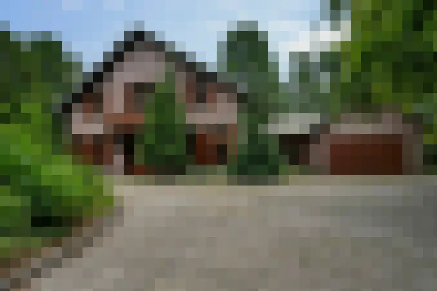Geldersestraat 2 Helenaveen thumbnail 78