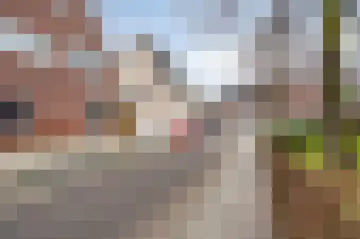 Geldersestraat 32 Sittard thumbnail 37