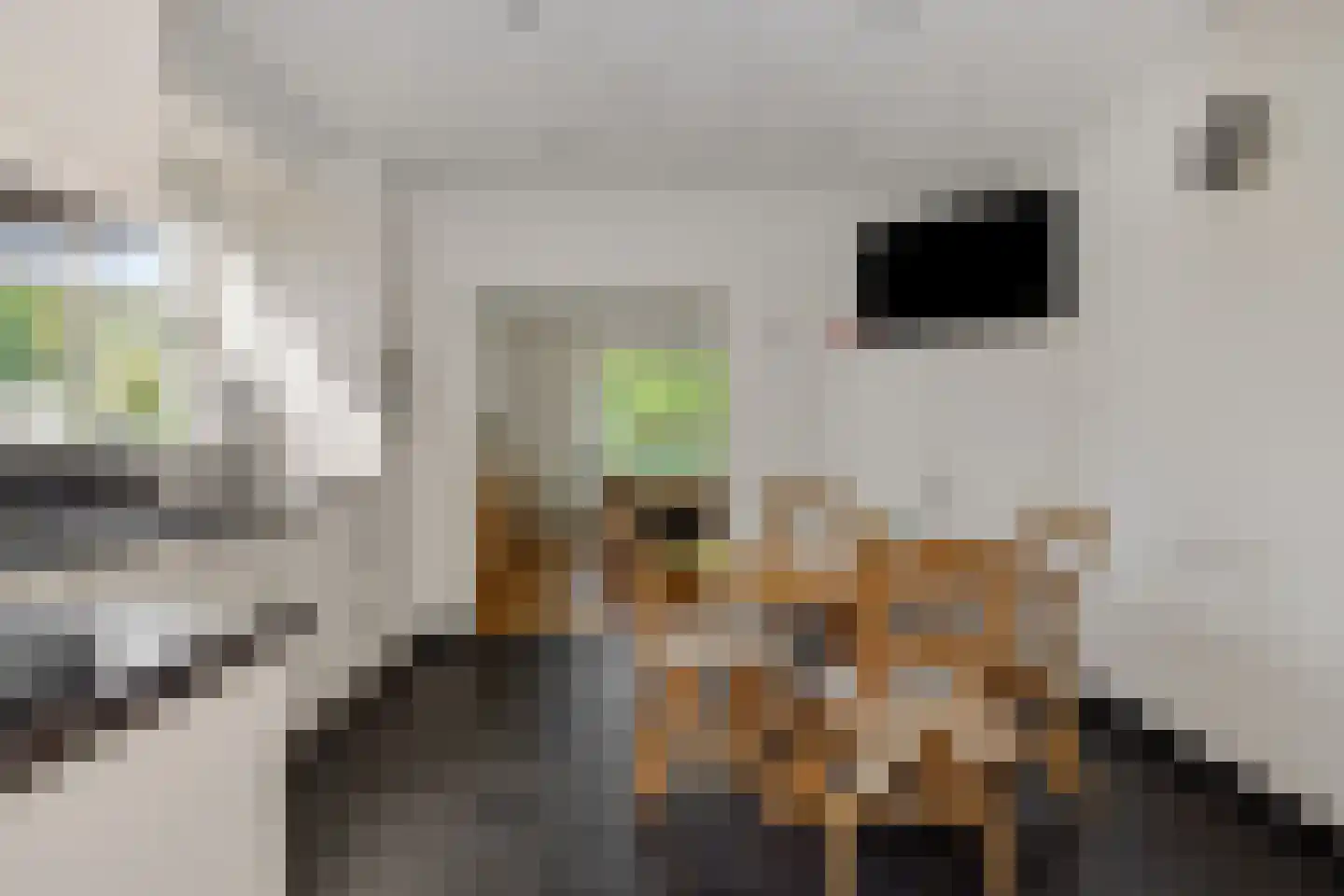 Geldersestraat 4 Helenaveen thumbnail 10