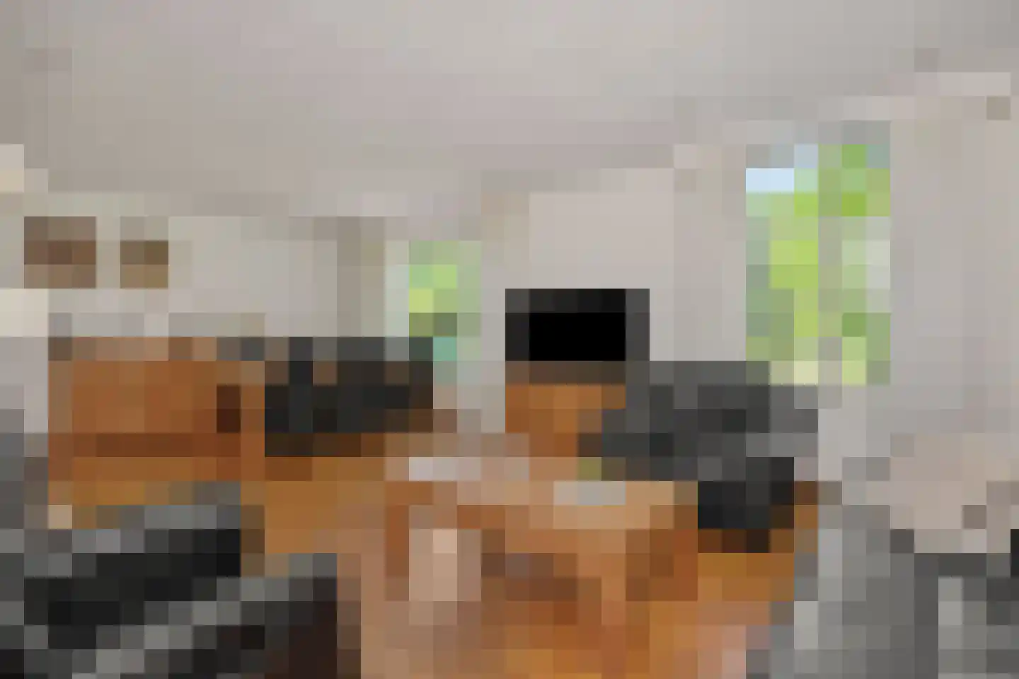 Geldersestraat 4 Helenaveen thumbnail 13