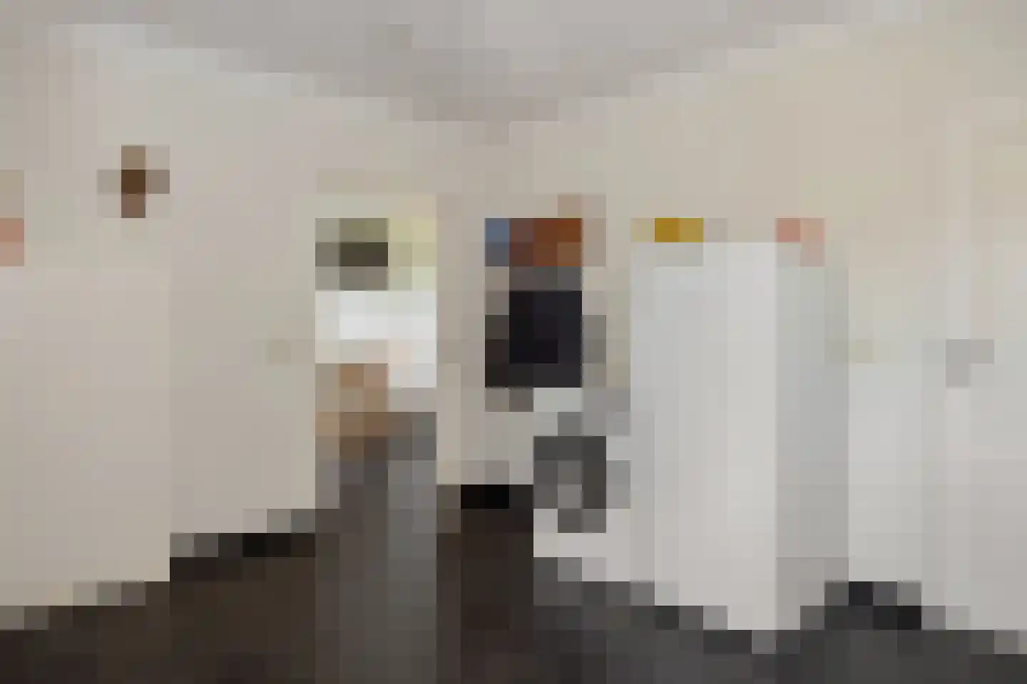 Geldersestraat 4 Helenaveen thumbnail 17