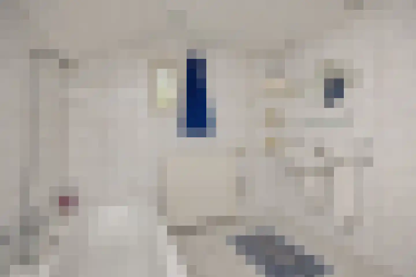 Geldersestraat 4 Helenaveen thumbnail 18