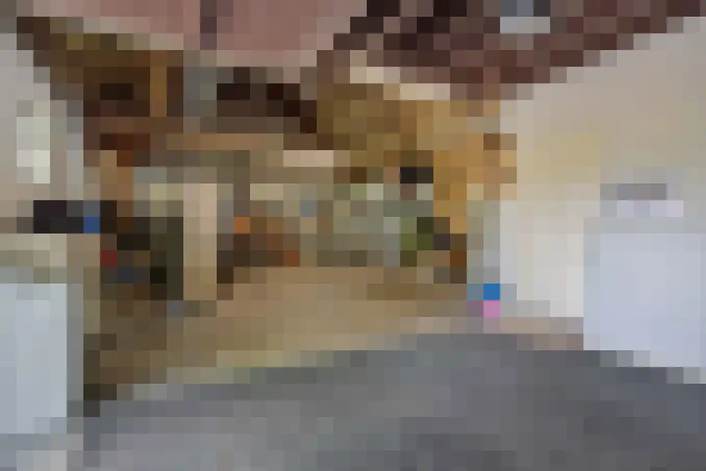 Geldersestraat 4 Helenaveen thumbnail 21