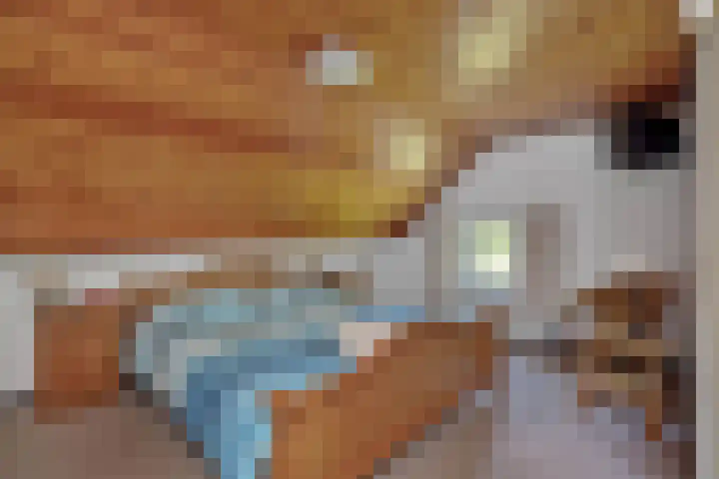 Geldersestraat 4 Helenaveen thumbnail 25
